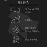 El salvador - Gesha