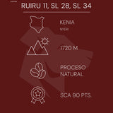 Kenia - Ruiru